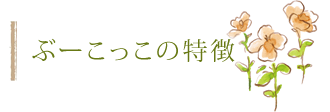 ぶーこっこの特徴